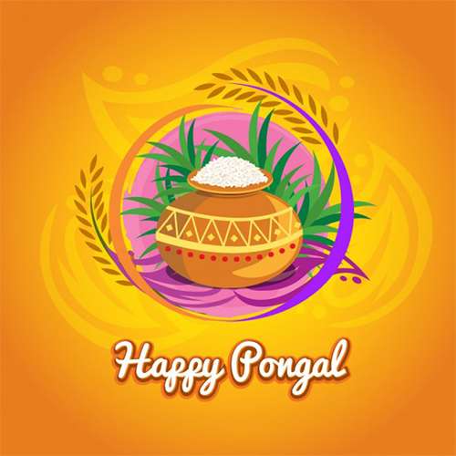 Happy Pongal Greeting Cards