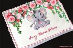 Lovely Elephant Birthday Cake With Name Edit