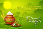 Happy Pongal Greetings Card Design Online Free