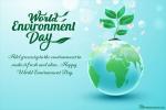Customize Your Own Environment Day Greeting Cards