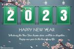 New Year's 2023 Flower eCards & Greeting Cards Online