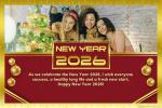 Free 2026 New Year Greeting Card With Golden Fireworks And Photo