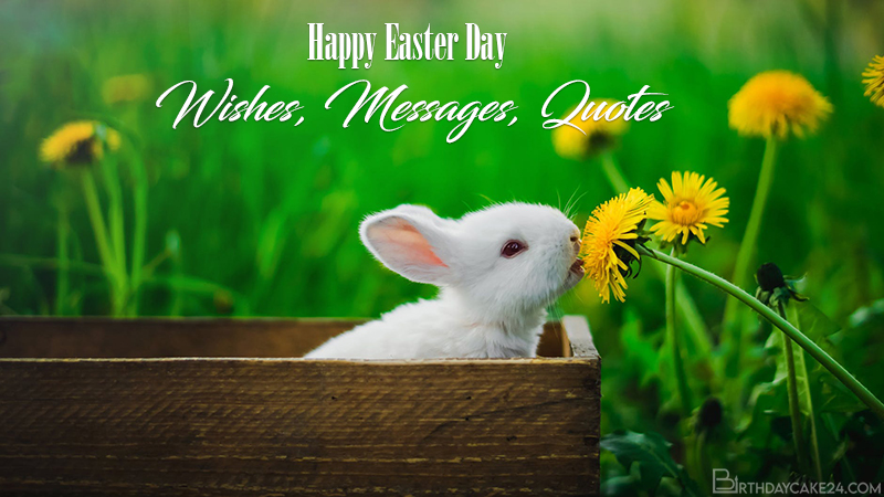Collection of Best Wishes, Greetings, Messages for Easter Day 2020