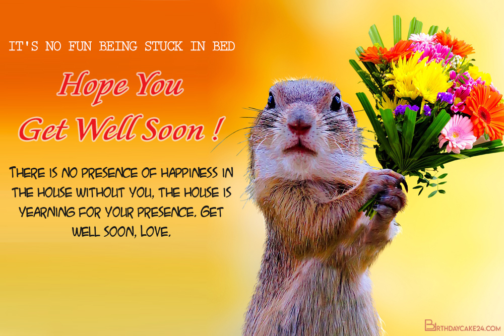 Get Well Wishes Cards