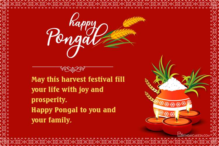 Happy Pongal Festival Cards Images For Whatsapp, Facebook