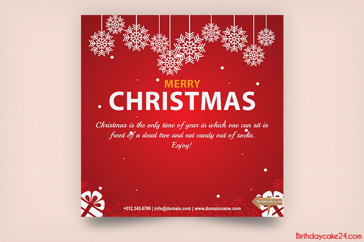Corporate Christmas Card With Winter Snow